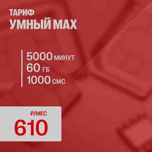 УМНЫЙ MAX