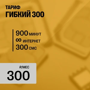 ГИБКИЙ 300